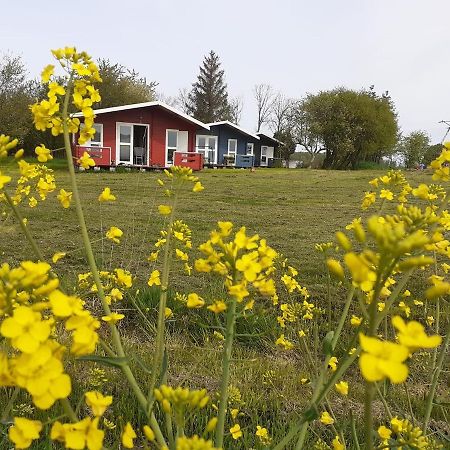 Kiszkowianka Domki Skrzeszewo  Esterno foto