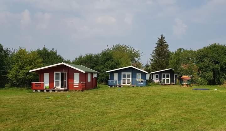 Kiszkowianka Domki Skrzeszewo  Esterno foto