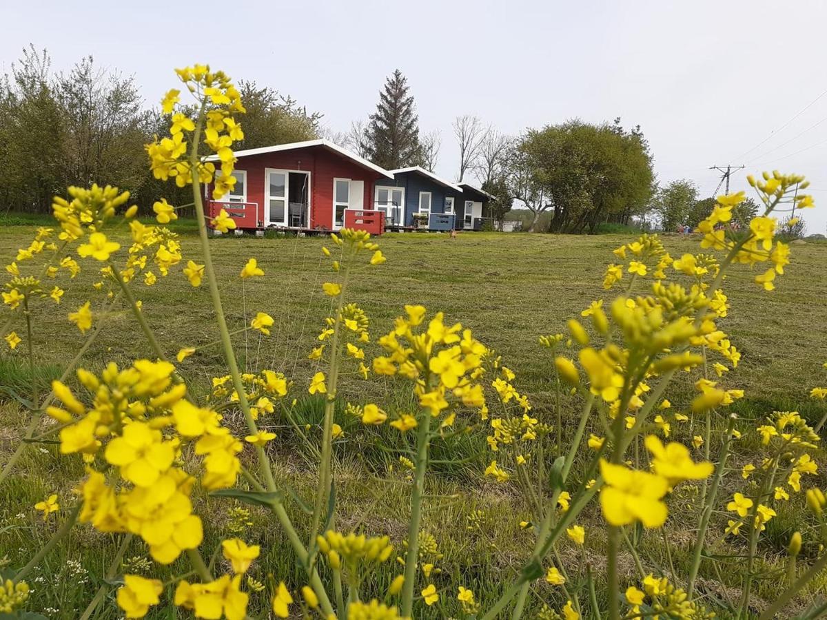 Kiszkowianka Domki Skrzeszewo  Esterno foto