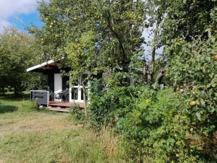 Kiszkowianka Domki Skrzeszewo  Esterno foto